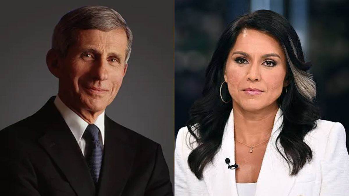 Tulsi Gabbard's Shocking Revelation: डॉ. एंथनी फौसी पर लगे वुहान लैब को फंडिंग देने के गंभीर आरोप
