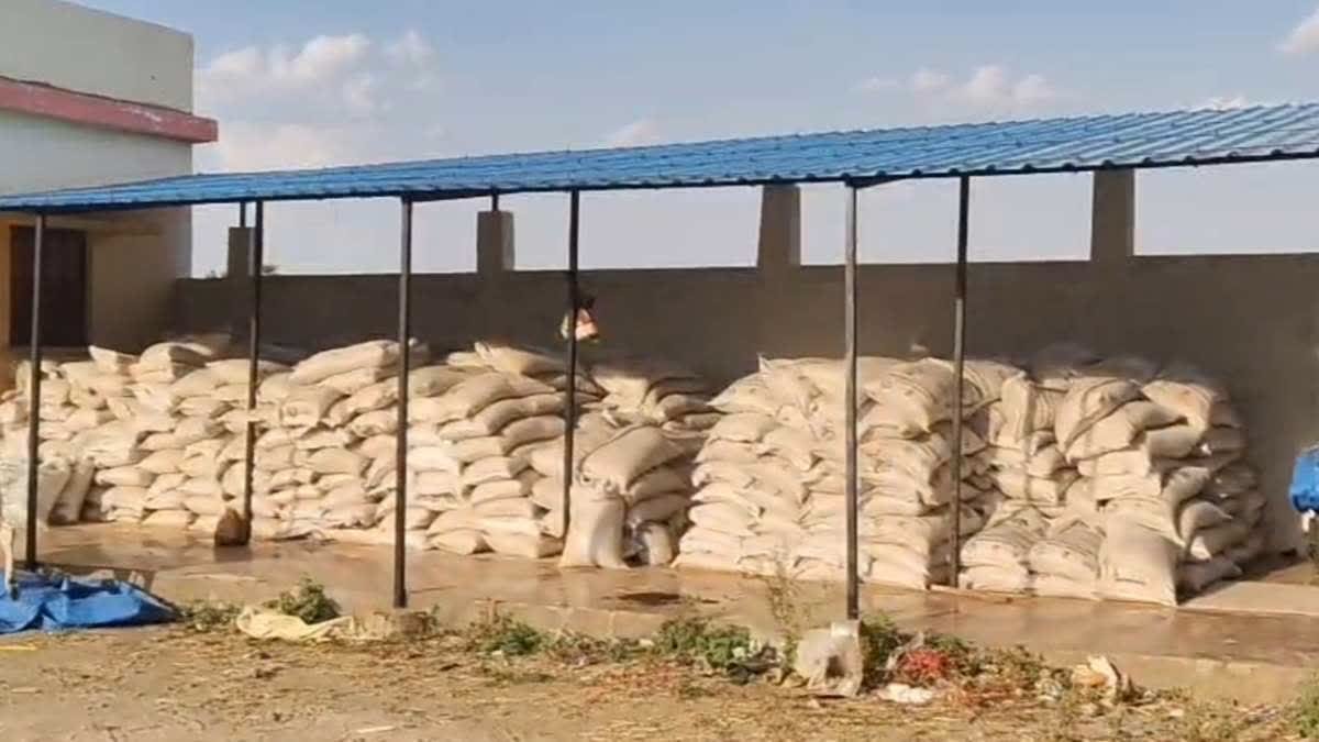 सागर गेहूं खरीदी घोटाला: वेयरहाउस में गेहूं की जगह मिली मिट्टी, खाद्य विभाग के अधिकारी निलंबित
