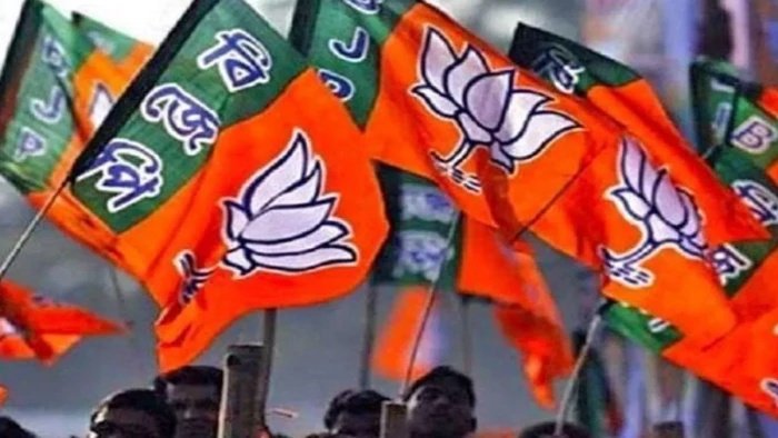 स्थानीय निकाय चुनाव से पहले भाजपा का बड़ा दांव; प्रदेश के 183 नगर निकायों में 1,080 एल्डरमैन होंगे नियुक्त
