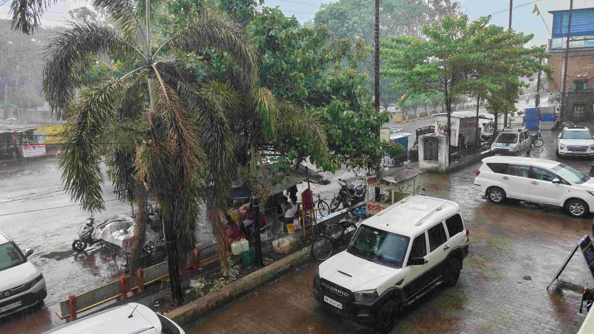 Shahdol Rain News: शहडोल में झमाझम बारिश से खिले किसानों के चेहरे, गर्मी से मिली बड़ी राहत; मौसम हुआ सुहाना