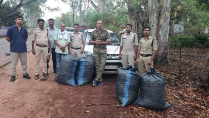 Shahdol Crime News: ब्यौहारी पुलिस की बड़ी कार्रवाई; कार से 1 क्विंटल 27 किलो गांजा बरामद, तस्कर जंगल में फरार