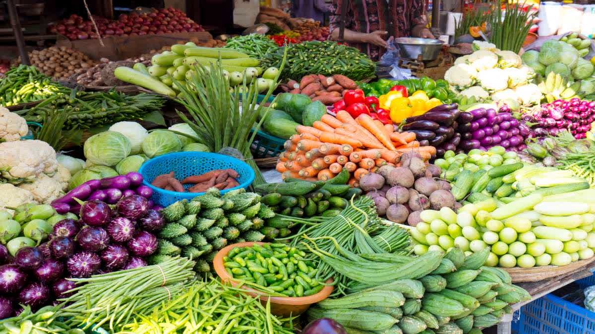 Terrace Gardening: महंगाई से पाएं राहत! मानसून के सुहाने मौसम में इन सब्जियों की करें खेती, कम देखभाल में मिलेगी भरपूर उपज