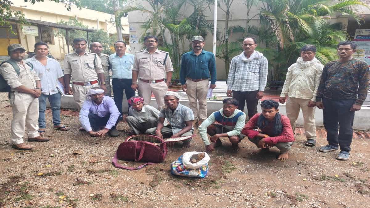 Balaghat News: बाघ के कंकाल का सौदा करते 5 तस्कर गिरफ्तार; वन विभाग की टीम ने ग्राहक बनकर बिछाया जाल