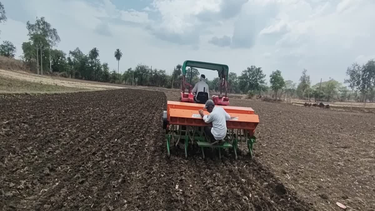 छिंदवाड़ा में धान की खेती की नई तकनीक: 'DSR' पद्धति से किसानों को होगा दोहरा फायदा, समय और लागत में भारी बचत