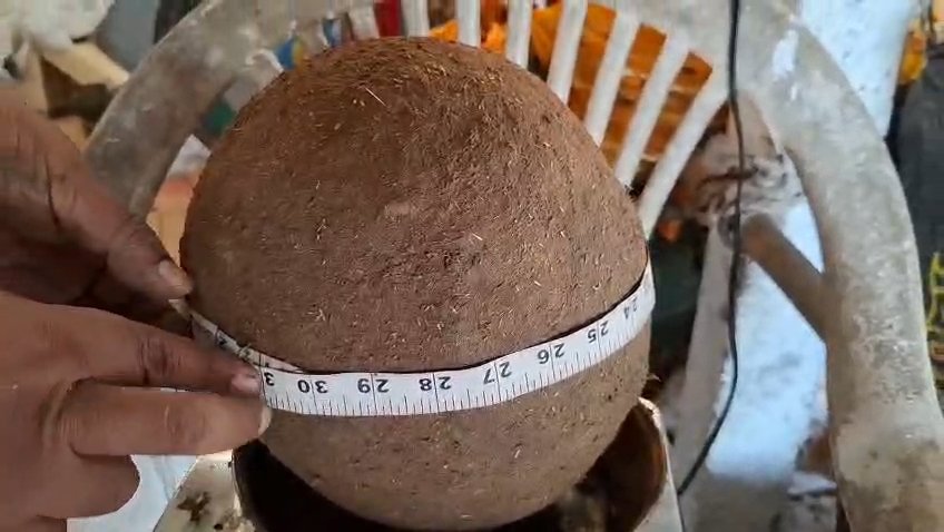 Pandhurna News: पांढुर्णा में बना देश का सबसे बड़ा 'सीड बॉल', नीरज वानखड़े का नाम 'इंडिया बुक ऑफ रिकॉर्ड' में दर्ज