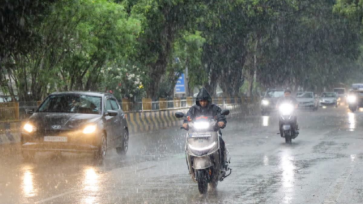 MP Monsoon Update: मध्य प्रदेश में मानसून की सुस्त रफ्तार; 43 जिलों में भारी बारिश का अलर्ट, जानें कब तक भिगोएगा भोपाल-उज्जैन