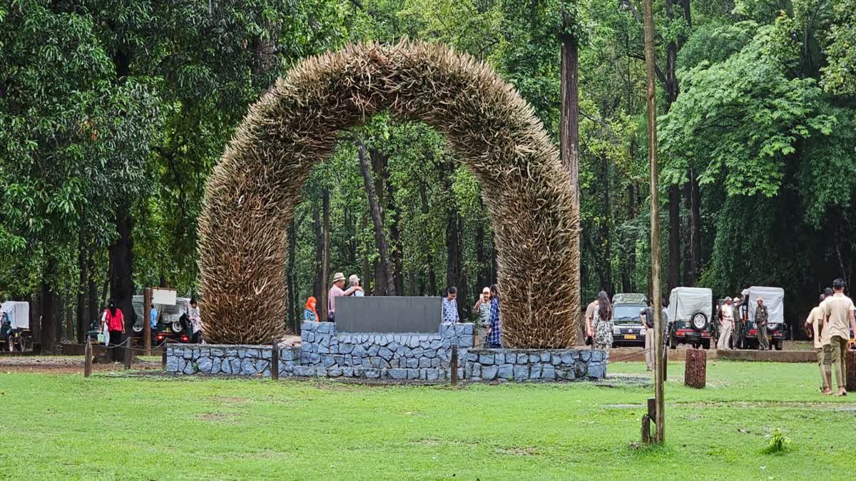 Monsoon at Kanha: मानसून के चलते कान्हा नेशनल पार्क की कोर सफारी पर विराम; बफर जोन में रहेगा पर्यटकों का जमावड़ा