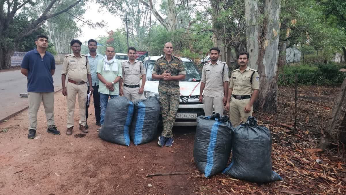 Shahdol Crime News: पुलिस की बड़ी कार्रवाई; जयसिंहनगर और ब्यौहारी में 267 किलो गांजा जब्त, तस्कर गाड़ी छोड़कर भागे