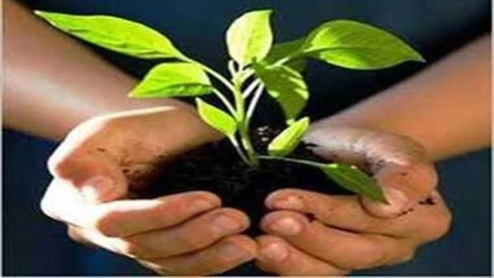 Indore News: गंभीर नदी को मिलेगा नया जीवन; जानापाव की पहाड़ियों पर लगेंगे लाखों पौधे, जिला प्रशासन की वृहद योजना