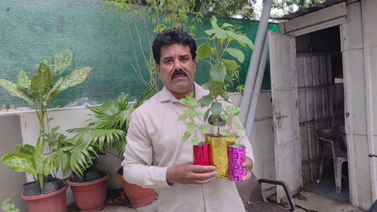 Indore News: बर्थडे पर पौधे का अनोखा गिफ्ट; 'वृक्ष मित्र' राजेश मकवाना ने 39 सालों में लगवाए 25,000 पौधे