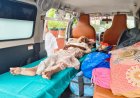 Indore News: 900 किलोमीटर का एम्बुलेंस सफर! संपत्ति हड़पने वाले भतीजे के खिलाफ न्याय मांगने इंदौर पहुंची 83 वर्षीय बुजुर्ग