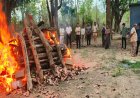 Tiger Death in Kanha: कान्हा में 19 दिनों तक चला इलाज, फिर भी नहीं बची बाघ की जान; विसरा जांच से होगा मौत का खुलासा
