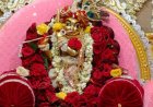 सागर: 'बुंदेलखंड के वृंदावन' में निकली बिहारी जी सरकार की भव्य बारात, दूल्हा बनकर नगर भ्रमण पर निकले प्रभु