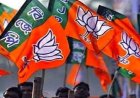 स्थानीय निकाय चुनाव से पहले भाजपा का बड़ा दांव; प्रदेश के 183 नगर निकायों में 1,080 एल्डरमैन होंगे नियुक्त