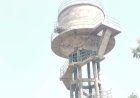 Bhopal News: सरकारी खजाने में हेरफेर और दो सरकारी आवास का अवैध लाभ; शिक्षा विभाग के बाबू पर लगे गंभीर आरोप
