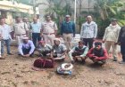 Balaghat News: बाघ के कंकाल का सौदा करते 5 तस्कर गिरफ्तार; वन विभाग की टीम ने ग्राहक बनकर बिछाया जाल