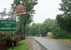 Kanha Tiger Reserve News: कैनाइन डिस्टेंपर वायरस से 9 बाघों की मौत; हाईकोर्ट ने सरकार से मांगी स्टेटस रिपोर्ट