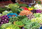 Terrace Gardening: महंगाई से पाएं राहत! मानसून के सुहाने मौसम में इन सब्जियों की करें खेती, कम देखभाल में मिलेगी भरपूर उपज