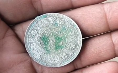 Narmadapuram News: सड़क खुदाई में निकला खजाना! केसला में मिले प्राचीन सिक्के; जानें क्या है पूरा मामला