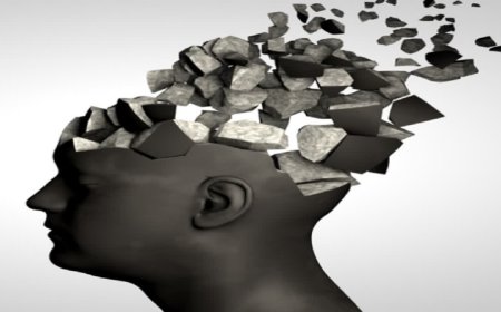 Brain Health Research: क्या दिमाग की सूजन ही है अल्जाइमर और पार्किंसन की जड़? सागर यूनिवर्सिटी में वैज्ञानिकों ने साझा की नई रिसर्च