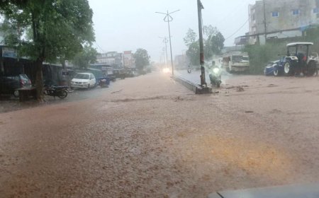 Raisen Rain News: रायसेन में पहली ही प्री-मानसून बारिश से बेहाल शहर, नगर पालिका के दावों की खुली पोल