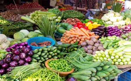 Terrace Gardening: महंगाई से पाएं राहत! मानसून के सुहाने मौसम में इन सब्जियों की करें खेती, कम देखभाल में मिलेगी भरपूर उपज