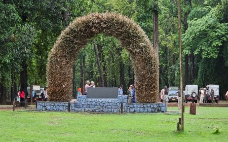 Monsoon at Kanha: मानसून के चलते कान्हा नेशनल पार्क की कोर सफारी पर विराम; बफर जोन में रहेगा पर्यटकों का जमावड़ा