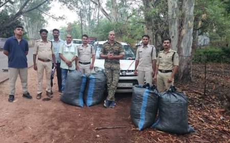 Shahdol Crime News: पुलिस की बड़ी कार्रवाई; जयसिंहनगर और ब्यौहारी में 267 किलो गांजा जब्त, तस्कर गाड़ी छोड़कर भागे