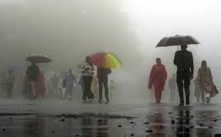 MP Weather Update: भोपाल-उज्जैन में झमाझम बारिश, प्रदेश के 37 जिलों में वज्रपात का अलर्ट; जानें कब आएगा मानसून
