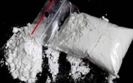 इंदौर एमडी ड्रग्स केस: प्रॉपर्टी ब्रोकर ने खोले बड़े राज, रईस परिवारों के युवक भी शामिल; नोटिस जारी