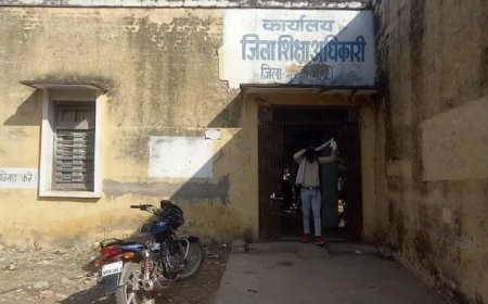 मुरैना का 'फर्जी दिव्यांग शिक्षक' घोटाला: 47 शिक्षकों के प्रमाणपत्रों पर संशय, प्रशासन ने फिर शुरू की जांच