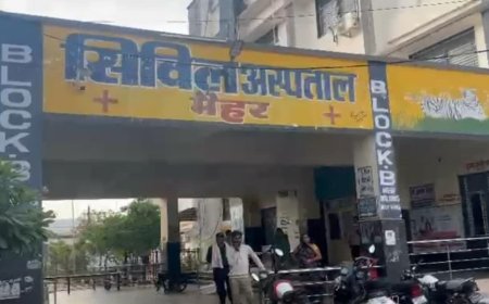 Measles Outbreak in Maihar: मैहर के अजमाइन गांव में फैला खसरा; 3 वर्षीय बच्चे की मौत, 6 बच्चे संक्रमित