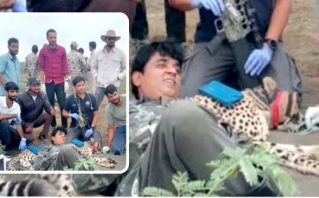 Kuno National Park News: चीते की पीठ पर लेटे व्यक्ति की फोटो वायरल; कूनो प्रबंधन ने फोटो को बताया AI जेनरेटेड