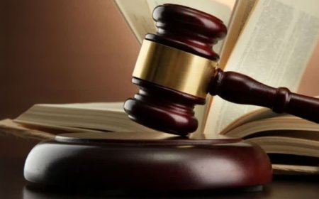 निजी स्कूल बंद कराने आए सरपंच-उपसरपंच को हाई कोर्ट का अनोखा सबक; कहा- 'सुविधाएं आप उपलब्ध कराएंगे'
