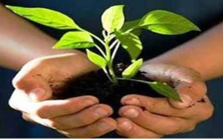 Indore News: गंभीर नदी को मिलेगा नया जीवन; जानापाव की पहाड़ियों पर लगेंगे लाखों पौधे, जिला प्रशासन की वृहद योजना