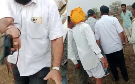 Land Dispute in Mahidpur: खेत में जबरन कब्जा करने पहुंचे दबंग; पिस्टल दिखाकर दी जान से मारने की धमकी, मामला दर्ज