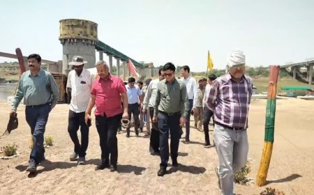Chambal Illegal Mining: चंबल में खनन माफिया पर प्रशासन का 'सर्जिकल स्ट्राइक'; 19 माफिया जिलाबदर, अब 5 जिलों में नहीं ले सकेंगे एंट्री