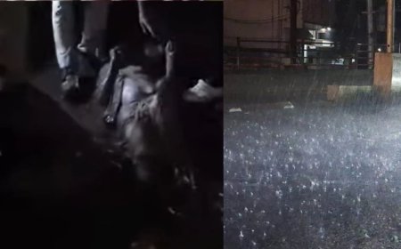 Bhopal Police Bravery: बारिश के बीच उफनते नाले में फंसे बुजुर्ग की जान बचाने का साहस; पुलिस जवानों का रेस्क्यू वीडियो वायरल