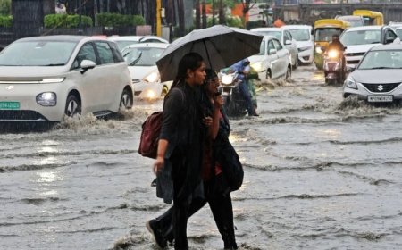 MP Weather News: मध्य प्रदेश के 18 जिलों में मानसून का प्रवेश; इंदौर में 70 मिमी बारिश, नगर निगम के इंतजामों की खुली पोल