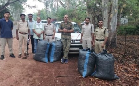 Shahdol Crime News: ब्यौहारी पुलिस की बड़ी कार्रवाई; कार से 1 क्विंटल 27 किलो गांजा बरामद, तस्कर जंगल में फरार
