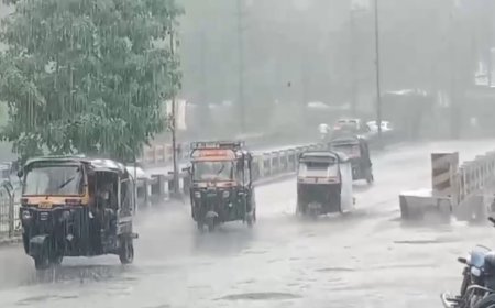 MP Monsoon Update: मध्य प्रदेश में मानसून की धमाकेदार एंट्री; 45 जिलों के लिए येलो अलर्ट जारी, जानिए कब तक भीगेगा पूरा प्रदेश
