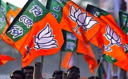 स्थानीय निकाय चुनाव से पहले भाजपा का बड़ा दांव; प्रदेश के 183 नगर निकायों में 1,080 एल्डरमैन होंगे नियुक्त