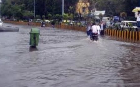 Indore Drainage System: बारिश में क्यों डूबता है इंदौर? एक्सपर्ट्स ने बताए जलभराव के मुख्य कारण और समाधान