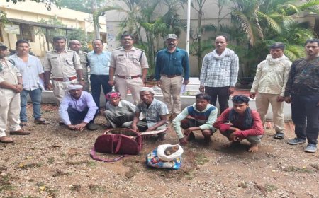 Balaghat News: बाघ के कंकाल का सौदा करते 5 तस्कर गिरफ्तार; वन विभाग की टीम ने ग्राहक बनकर बिछाया जाल