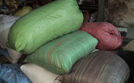 सतना में नशे के कारोबार पर एसटीएफ की बड़ी सर्जिकल स्ट्राइक: 28 लाख का गांजा और कोरेक्स सिरप जब्त
