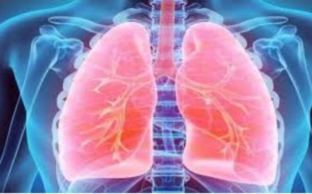 Bhopal Medical Success: 32 साल के युवक को था फेफड़ों का कैंसर, भोपाल के जेपी अस्पताल में बिना चीर-फाड़ सफल जांच