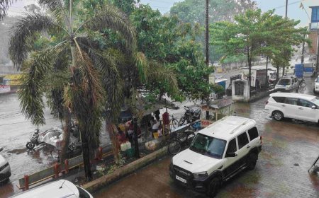 Shahdol Rain News: शहडोल में झमाझम बारिश से खिले किसानों के चेहरे, गर्मी से मिली बड़ी राहत; मौसम हुआ सुहाना