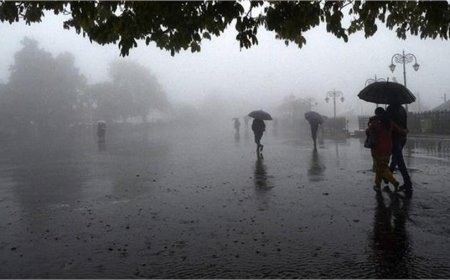 MP Monsoon Update: 45 जिलों में आंधी-बारिश का अलर्ट; मानसून की सुस्ती टूटने वाली है, मौसम विभाग ने दी राहत भरी खबर