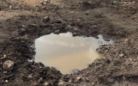 मक्सी में पानी की बर्बादी: 2 महीने से फूटी पड़ी पाइपलाइन, हजारों लीटर पानी बहने से लोग परेशान