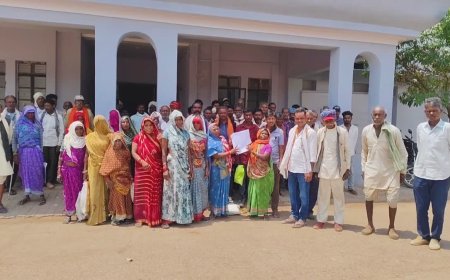 Panna News: वन भूमि के नक्शे में फंसा धनगढ़ गांव; 70 वर्षों से ग्रामीण लगा रहे गुहार, कलेक्टर जनसुनवाई में पहुंचे सैकड़ो लोग